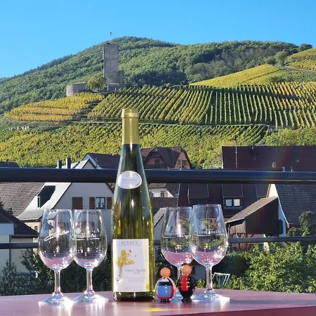 Les Terrasses Du Wineck