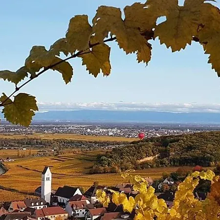 Les Terrasses Du Wineck *